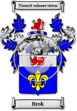 Brok Family Crest Download (jpg) Legacy Series - 150 DPI