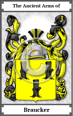 Braucker Family Crest Download (JPG)  Book Plated - 150 DPI