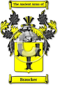 Braucker Family Crest Download (jpg) Legacy Series - 150 DPI