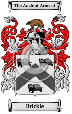 Brickle Family Crest Download (JPG) Heritage Series - 600 DPI