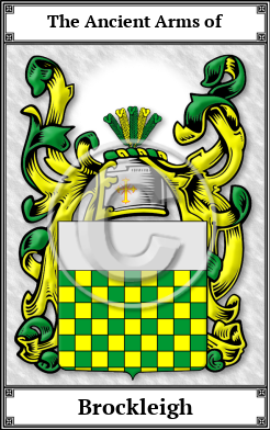 Brockleigh Family Crest Download (JPG)  Book Plated - 150 DPI