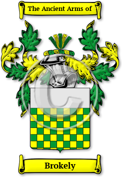 Brokely Family Crest Download (jpg) Legacy Series - 150 DPI