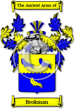 Brokman Family Crest Download (jpg) Legacy Series - 150 DPI