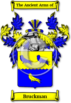 Bruckman Family Crest Download (jpg) Legacy Series - 150 DPI