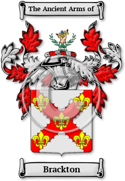 Brackton Family Crest Download (jpg) Legacy Series - 150 DPI