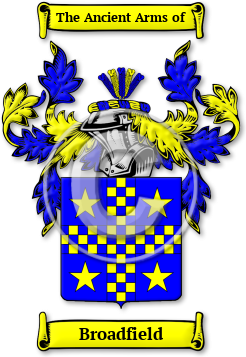 Broadfield Family Crest Download (jpg) Legacy Series - 150 DPI