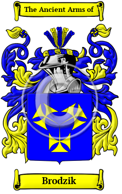 Brodzik Family Crest/Coat of Arms