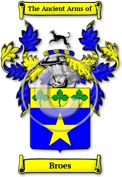 Broes Family Crest Download (jpg) Legacy Series - 150 DPI