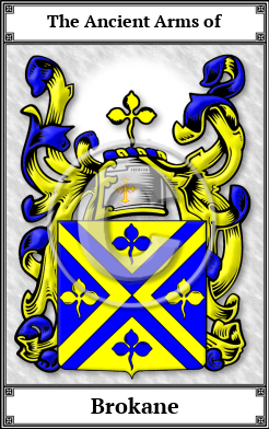 Brokane Family Crest Download (JPG)  Book Plated - 150 DPI