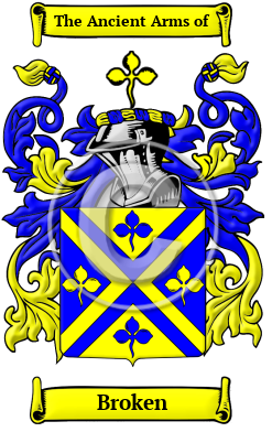 Broken Family Crest Download (JPG) Heritage Series - 600 DPI