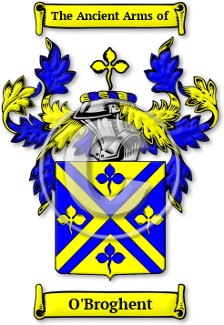 O'Broghent Family Crest Download (jpg) Legacy Series - 150 DPI