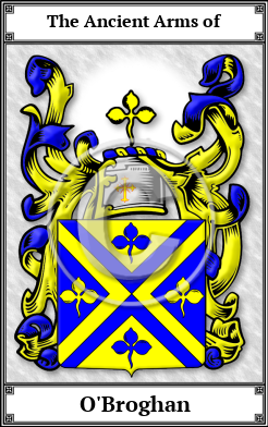 O'Broghan Family Crest Download (JPG)  Book Plated - 150 DPI