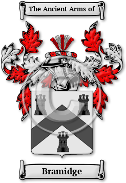 Bramidge Family Crest Download (JPG) Legacy Series - 600 DPI