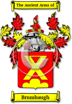 Brumbaugh Family Crest Download (jpg) Legacy Series - 150 DPI
