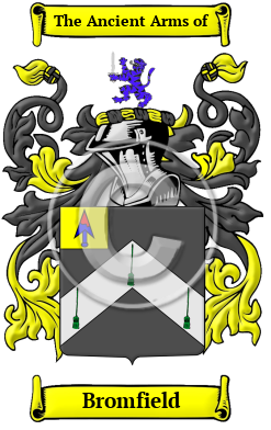 Bromfield Family Crest Download (JPG) Heritage Series - 600 DPI