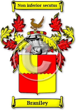 Braniley Family Crest Download (jpg) Legacy Series - 150 DPI