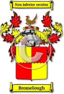 Bromelough Family Crest Download (jpg) Legacy Series - 150 DPI