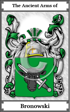 Bronowski Family Crest Download (JPG)  Book Plated - 150 DPI