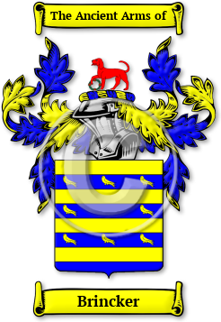 Brincker Family Crest Download (jpg) Legacy Series - 150 DPI