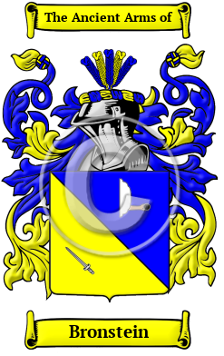 Bronstein Family Crest Download (JPG) Heritage Series - 300 DPI