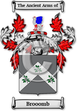 Brooomb Family Crest Download (jpg) Legacy Series - 150 DPI