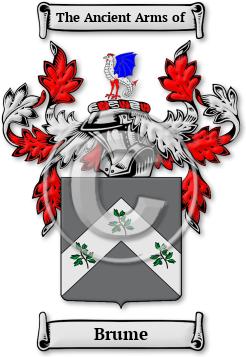Brume Family Crest Download (jpg) Legacy Series - 150 DPI