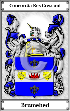 Brumehed Family Crest Download (JPG)  Book Plated - 150 DPI