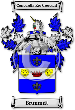 Brummit Family Crest Download (jpg) Legacy Series - 150 DPI