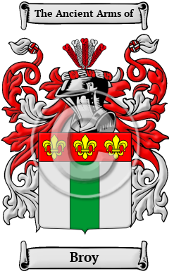 Broy Family Crest Download (JPG) Heritage Series - 600 DPI