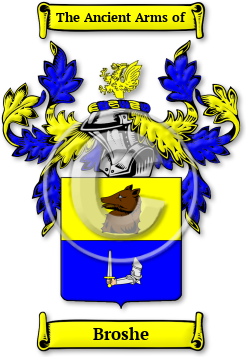 Broshe Family Crest Download (jpg) Legacy Series - 150 DPI