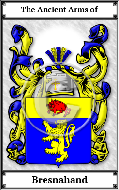 Bresnahand Family Crest Download (JPG)  Book Plated - 150 DPI