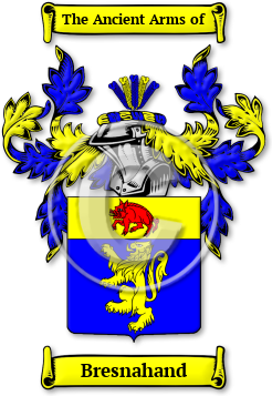 Bresnahand Family Crest Download (jpg) Legacy Series - 150 DPI