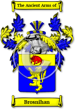 Brosnihan Family Crest Download (jpg) Legacy Series - 150 DPI