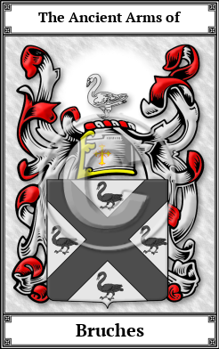 Bruches Family Crest Download (JPG)  Book Plated - 150 DPI