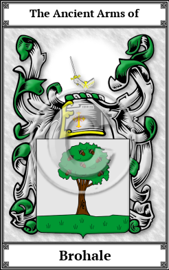 Brohale Family Crest Download (JPG)  Book Plated - 150 DPI