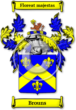 Brouns Family Crest Download (jpg) Legacy Series - 150 DPI