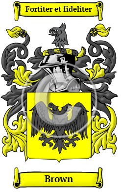 Brown Family Crest Download (JPG) Heritage Series - 600 DPI