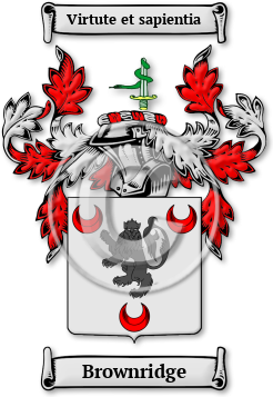 Brownridge Family Crest Download (jpg) Legacy Series - 150 DPI
