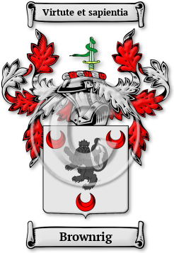 Brownrig Family Crest Download (jpg) Legacy Series - 150 DPI