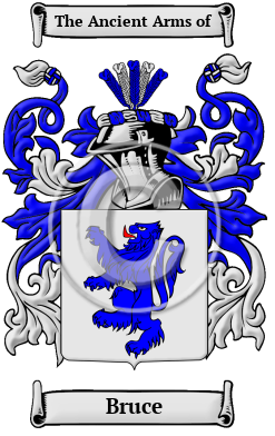 Bruce Family Crest Download (JPG) Heritage Series - 600 DPI