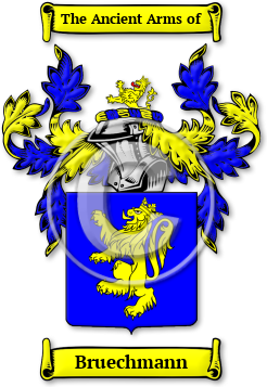 Bruechmann Family Crest Download (JPG) Legacy Series - 600 DPI
