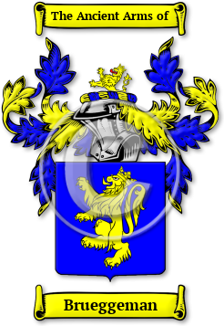 Brueggeman Family Crest Download (jpg) Legacy Series - 150 DPI