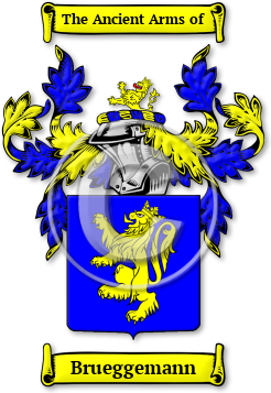 Brueggemann Family Crest Download (jpg) Legacy Series - 150 DPI