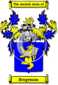 Brugeman Family Crest Download (jpg) Legacy Series - 150 DPI