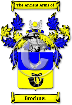 Brochner Family Crest Download (jpg) Legacy Series - 150 DPI