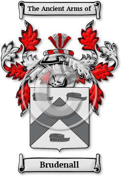 Brudenall Family Crest Download (jpg) Legacy Series - 150 DPI