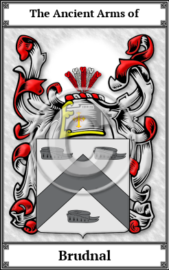 Brudnal Family Crest Download (JPG)  Book Plated - 150 DPI