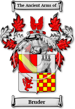 Bruder Family Crest Download (jpg) Legacy Series - 150 DPI