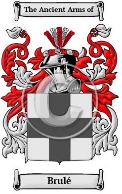 Brulé Family Crest Download (JPG) Heritage Series - 600 DPI