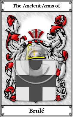 Brulé Family Crest Download (JPG) Book Plated - 150 DPI